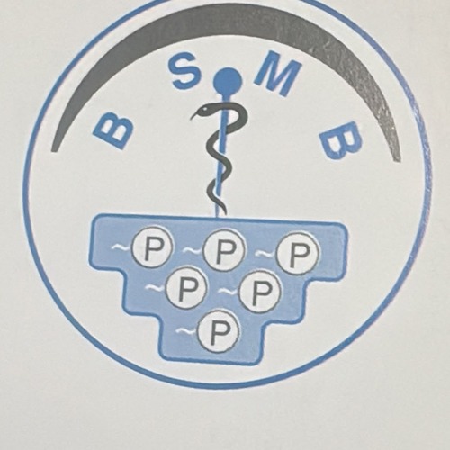 Official BSMB logo